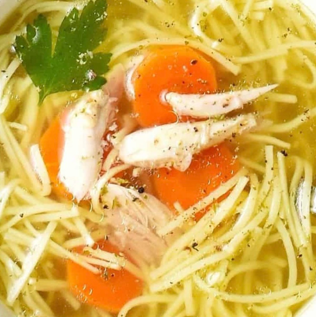 Chicken Noodle Soup